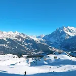Mislin- Direkte Bergsicht By Interhome Apartman Grindelwald