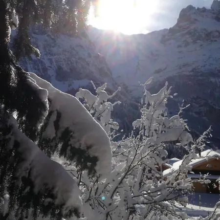 Mislin- Direkte Bergsicht By Interhome * Grindelwald