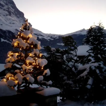 Mislin- Direkte Bergsicht By Interhome