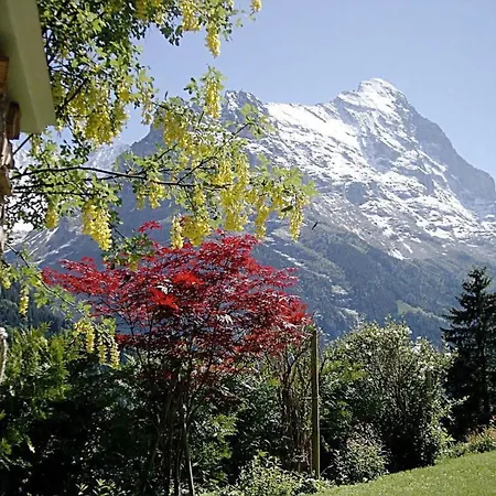 Mislin- Direkte Bergsicht By Interhome Apartamento *