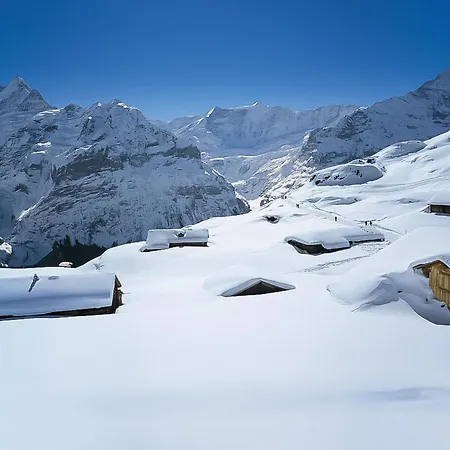 Apartamento Mislin- Direkte Bergsicht By Interhome Grindelwald