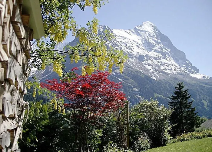 Mislin- Direkte Bergsicht By Interhome דירה *