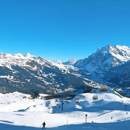 Mislin- Direkte Bergsicht By Interhome Apartmán Grindelwald