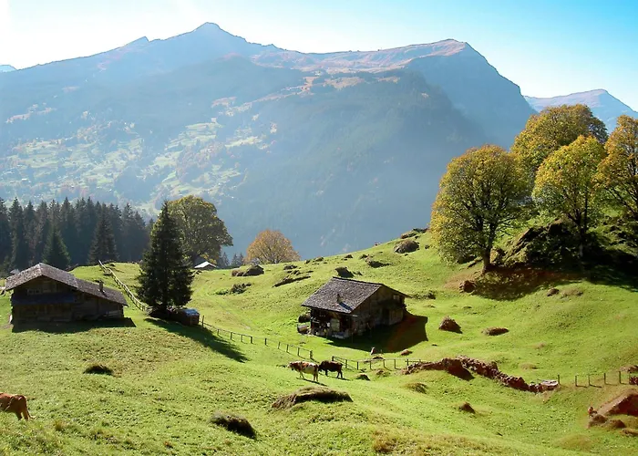 Mislin- Direkte Bergsicht By Interhome * Grindelwald